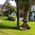 private-residence-in-lagonisi-6